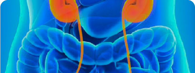On Urology Surgery